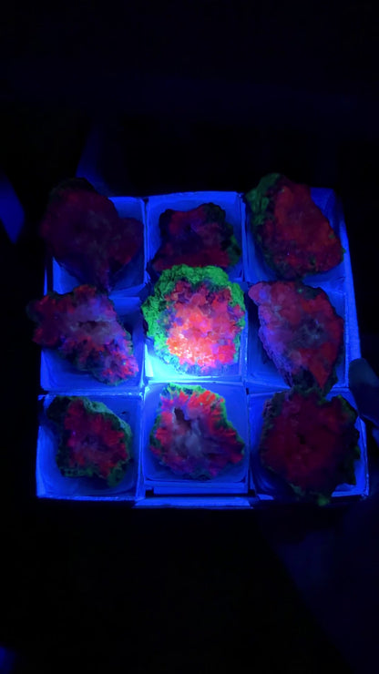 Watermelon Calcite Specimen Lot