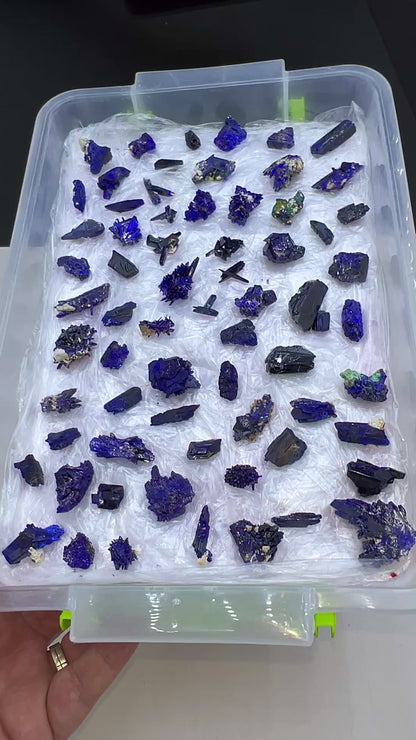 Blue Azurite Crystal  Specimen Lot 60-70 Pieces