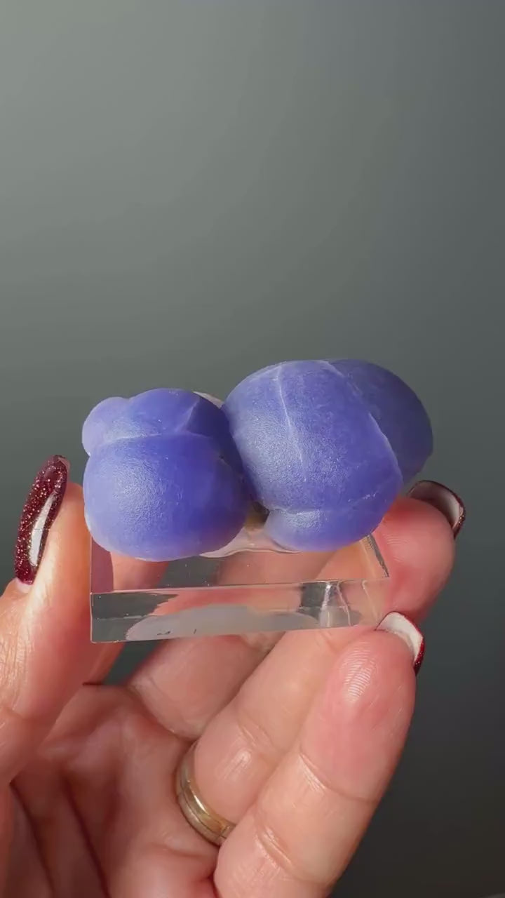 Very Rare! Botryoidal Bluish Purple Fluorite Specimen