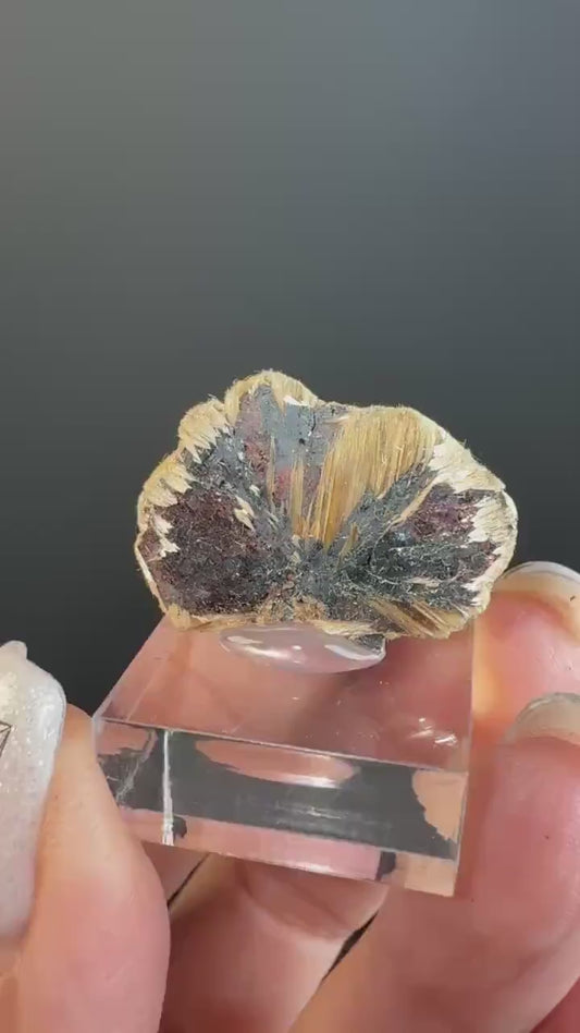 Golden Rutile Crystal with  Red Hematite Crystal