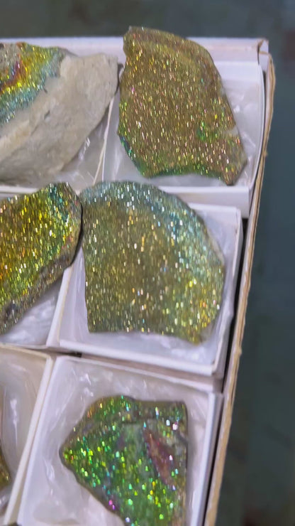 Rainbow Chalcopyrite Crystal Lot