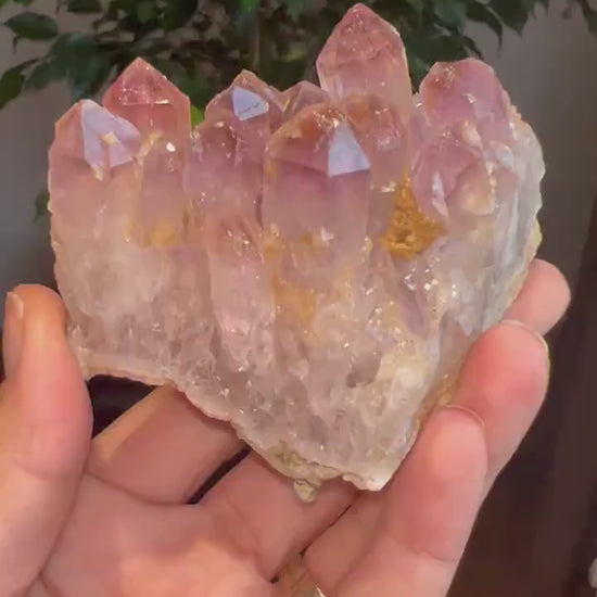 Amazing Piece! Raw Ametrine Crystal Cluster, Ametrine  Crystal