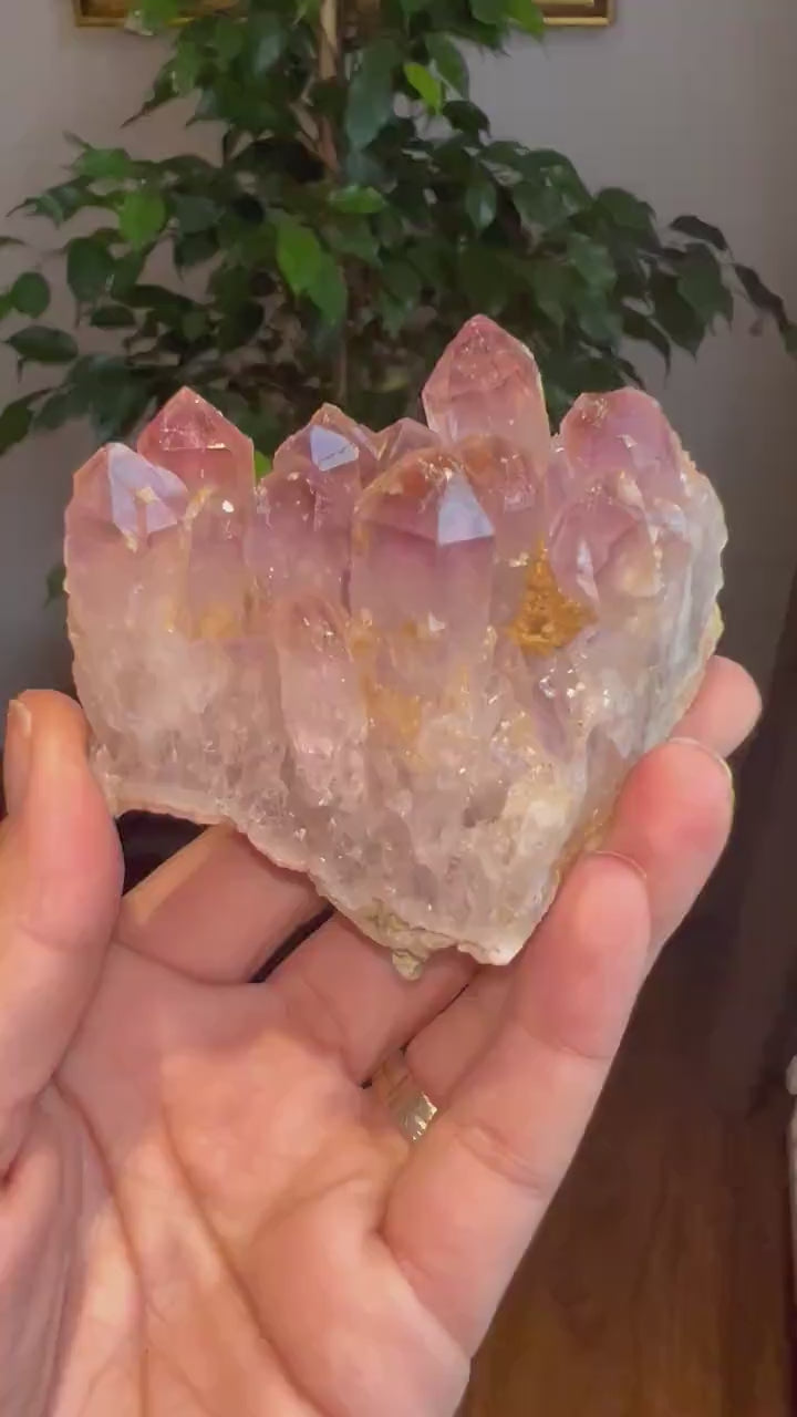 Amazing Piece! Raw Ametrine Crystal Cluster, Ametrine  Crystal