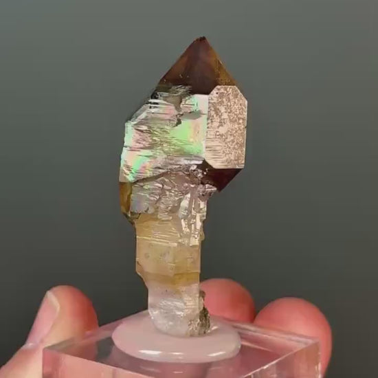 Chibuku Amethyst Scepter (Shangaan Amethyst with Sceptered Growth Formation) from Zimbabwe