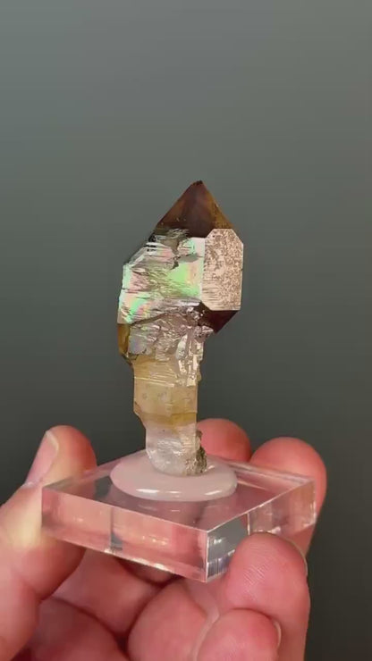 Chibuku Amethyst Scepter (Shangaan Amethyst with Sceptered Growth Formation) from Zimbabwe