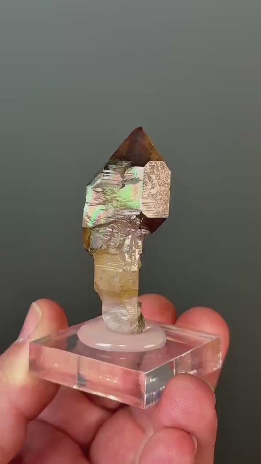 Chibuku Amethyst Scepter (Shangaan Amethyst with Sceptered Growth Formation) from Zimbabwe