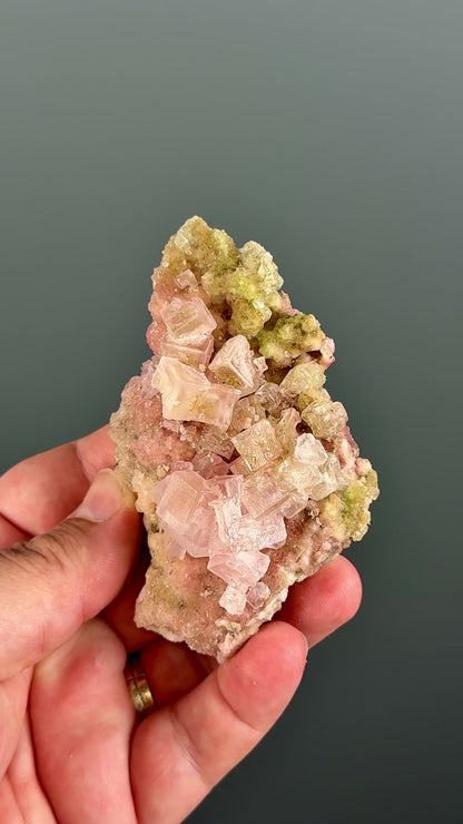 Bicolor Halite Crystal Rainbow Halite on Trona Lot