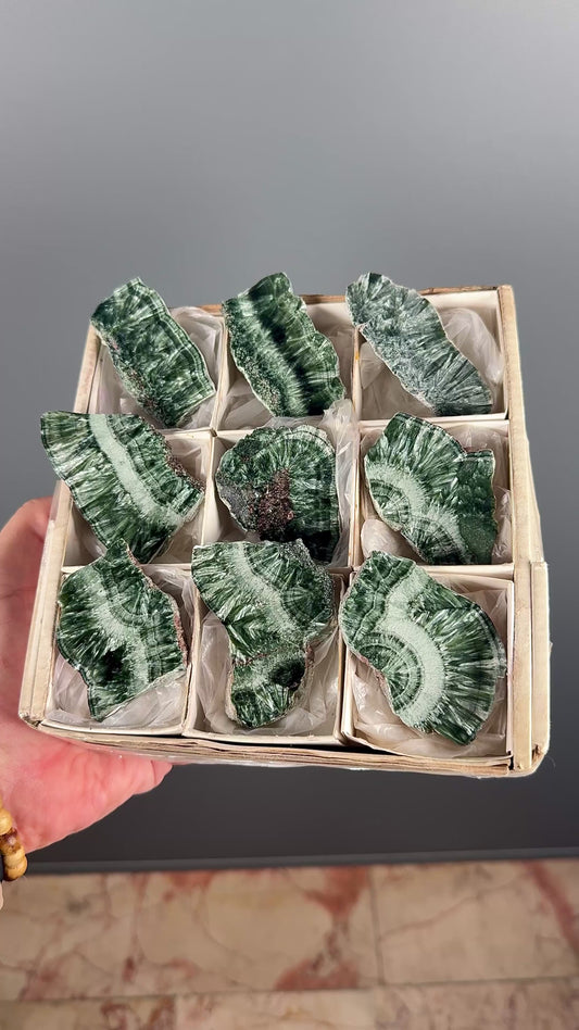 Forest Green Seraphinite Slab Lot