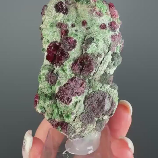 Rare! Pyrope Garnet with Chrom Diopsite Specimen