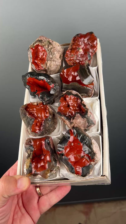 Red Fox Crater Agate Specimen Lot