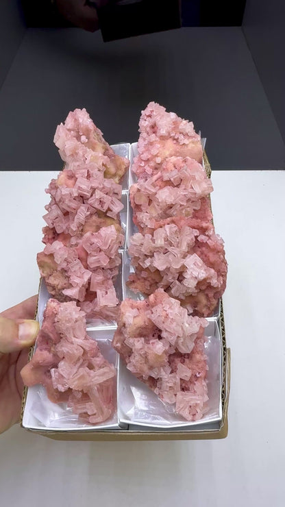 Pink Halite Crystal - 8 Pieces Lot